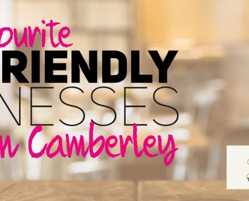 HDP Dog Friendly Businesses in Camberley