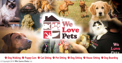 WLP services with header image.png