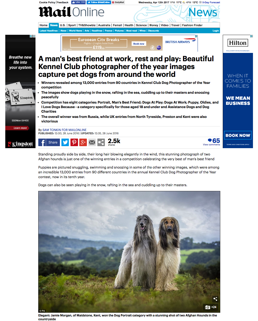 daily mail dog photographer of the year