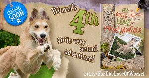 dog photoshoot for publications worzel wooface 4