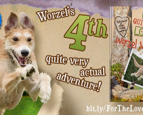 dog photoshoot for publications worzel wooface 4