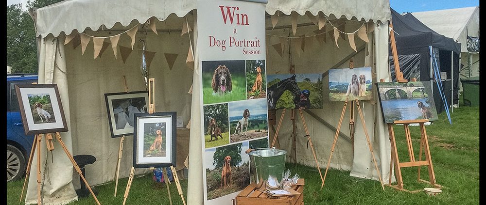 kent dog photographer jamie morgan