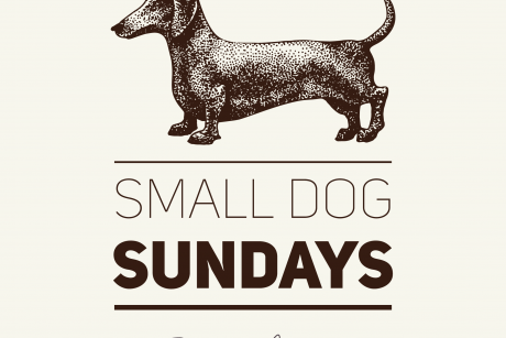 Small Dog Sunday